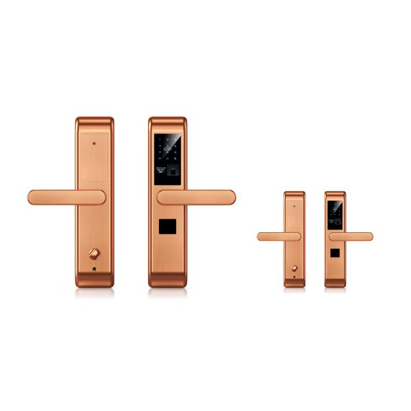 Mobile APP Control Security Fingerprint Lock With 100 Fingerprint Capacity