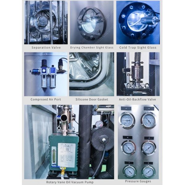 250Kg 250L 25sqm 316L Lyophilizer Pharmaceutical Freeze Dryer In Pharmaceutics