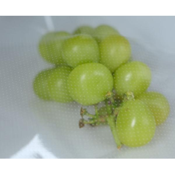 Recycle Plastic Bread  Bag For Food Breathable P36 P90 P160 Pattern Protection