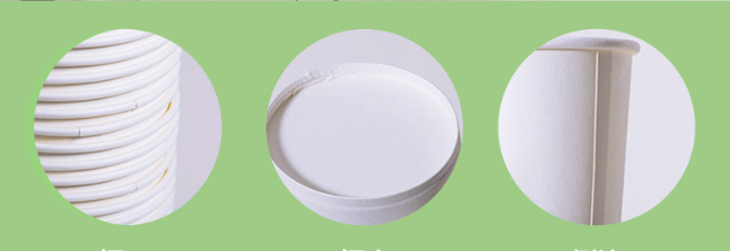 Biodegradable Takeaway Disposable Paper Coffee Cup With Double Wall Insulation