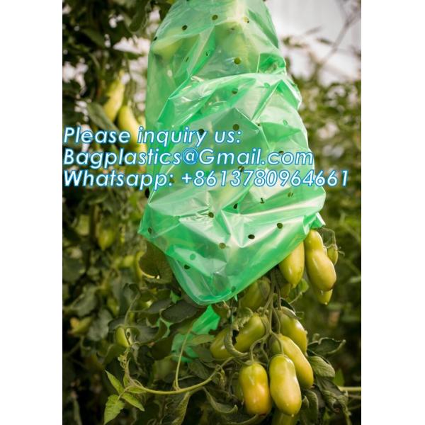 Perforated Tomato Tube Cover Frost Protection Bag Garden Used Cover Tomato Growing Covers Sleeves With Ties