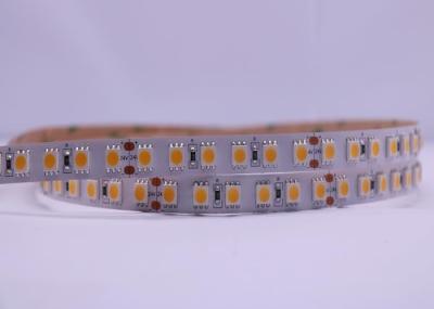 96 a cor flexível de Led/M 20W que muda luzes conduzidas da fita rola CRI97 2000LM 5M