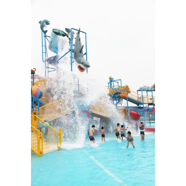 Оборудование парка воды большого диапазона безопасности для напольного тематического парка воды