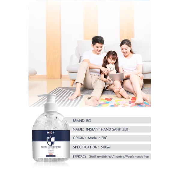 Portable Mini Silver Ion Hand Sanitizer Disposable Waterless Antibacterial Gel 500ml