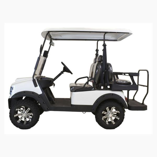 Hot Sale4 Seats Mini Electric Golf Cart