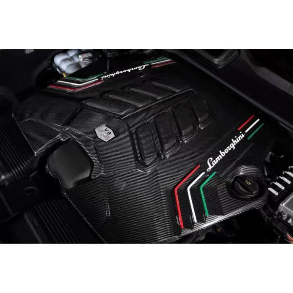 2019 Black Lamborghini Body Kit Dry Carbon Fiber Engine Interior Guard Shield