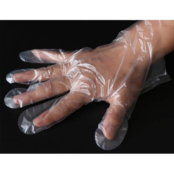 PE Plastic Disposable Gloves / Eco Friendly Plastic Multifunction Gloves