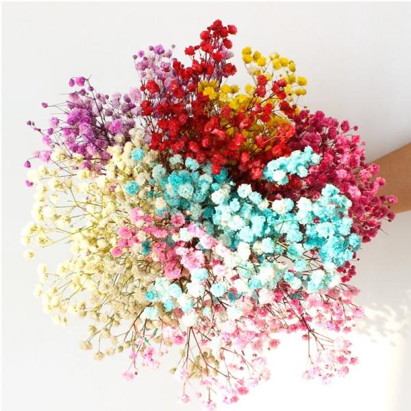 Flores secadas bonitas eternas Babysbreath para a decoração do jardim