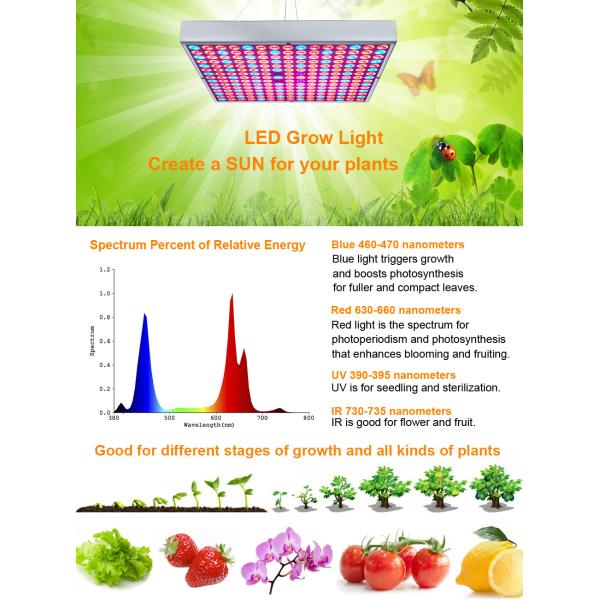 Красная голубая белая приведенная панель 45w растет для цветка овоща саженца