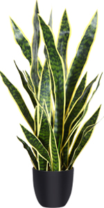 Artificial Monstera Deliciosa Plant 37