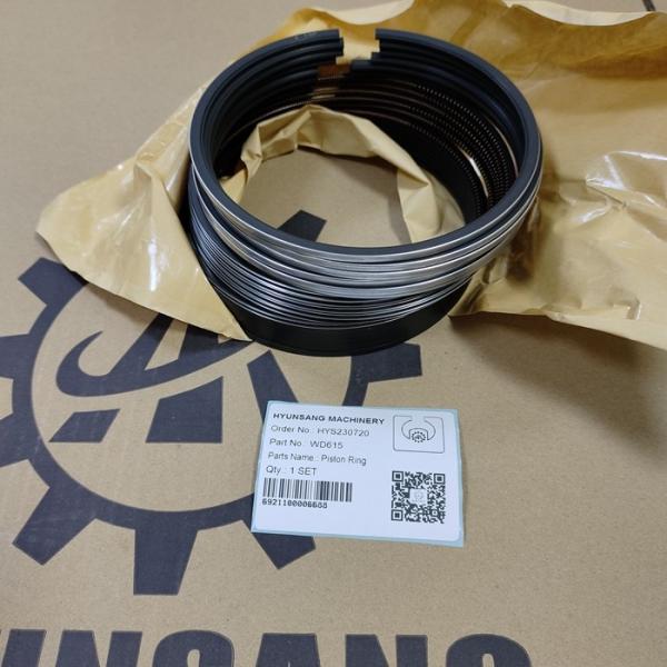 Les pièces de rechange de moteur de camion de Hyunsang révisent Kit For WD615