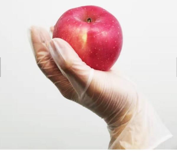 Small Food Safe Latex Free Powder Free Disposable Gloves Soft And Uniform Thickness