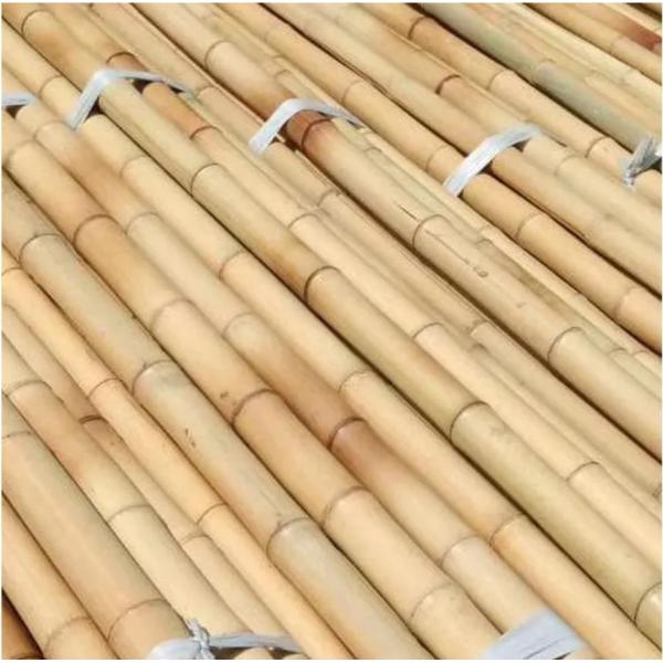 595cm Long Moso Bamboo Pole Eco-friendly Straight and Sturdy Bamboo Raw Material for Garden Construction