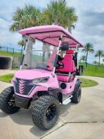 48V 150AH EV Golf Cart 5KW 14 pouces pneus tout-terrain Barbi électrique pour usage familial