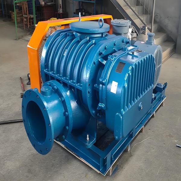 Whole Assembly Roots Blower For Pharmaceutical Manufacturing Plant