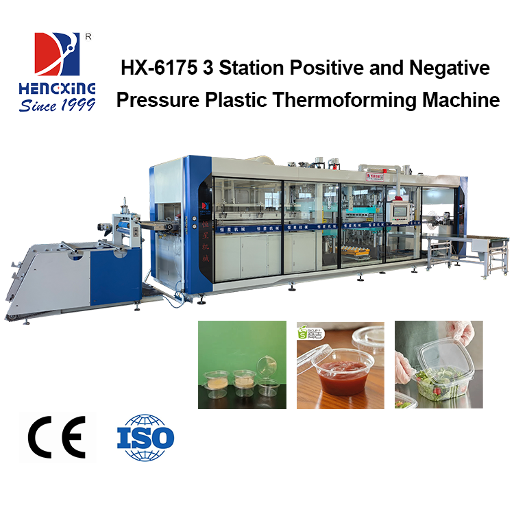 Automatic Agriculture Seedling Tray Making Machine High-Output Plastic Thermoforming Production Line for Garden Nursery Plugs & Pots