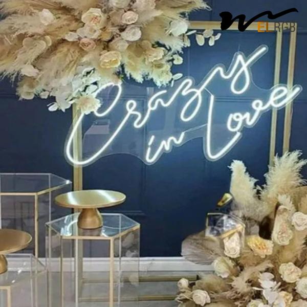 12V Neon Sign Acrylic LED Decorative Lights 6000k Plexiglass Neon Signs