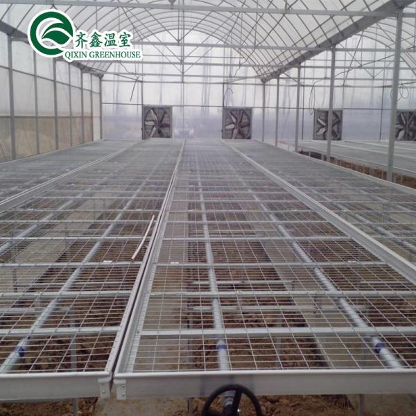 Large Steel Greenhouse Structure Shed Design With 150/200micro PE Film Covering