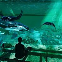 Fábrica Custom Indoor Led 5 Fold Screen Imersivo 3D Cinema Holográfico Visualização