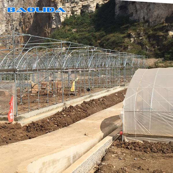 El invernadero vegetal de las láminas de plástico del polietileno galvanizó el marco de acero