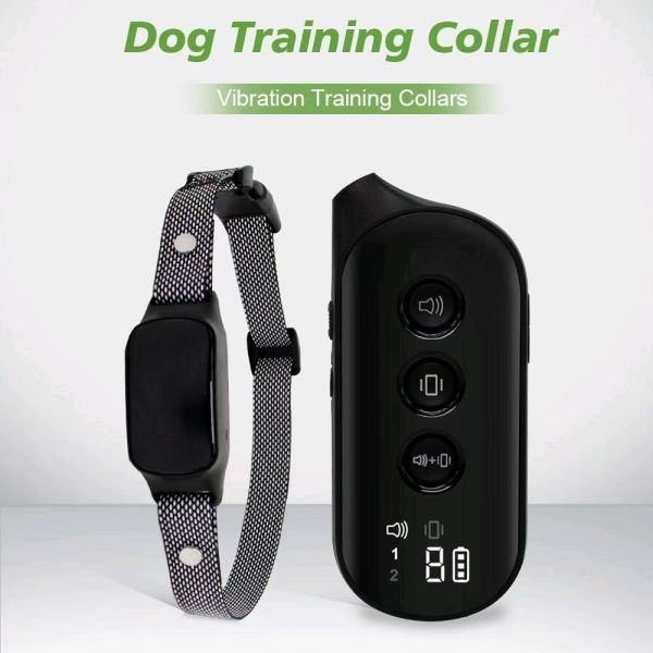 Rechargeable Eco-Friendly Nylon Dog Agility Training Collar Waterproof Walkie Talkie Remote Batteries Cute Modern Fashion Style