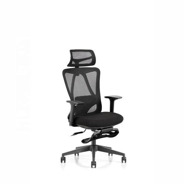 Mesh Chair Ergonomic Modern Office Chair with Swivel Function and Free Sample Shipping