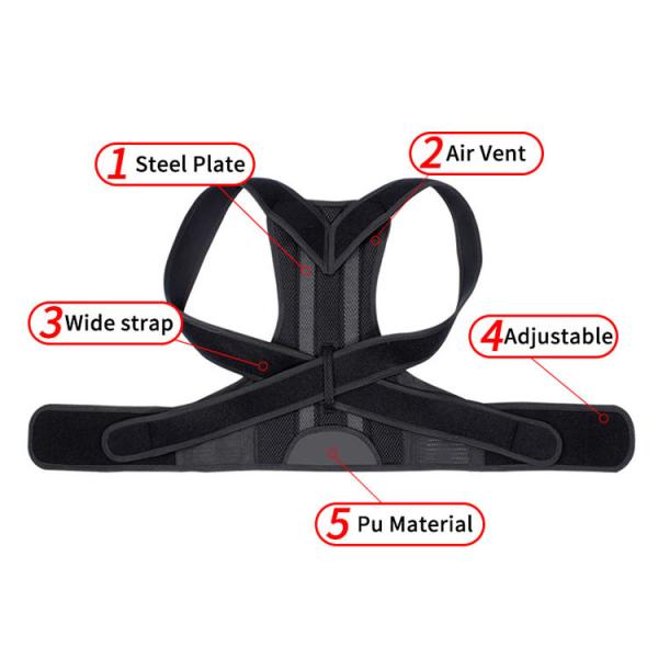 Steel bone support adult back posture correction with posture lumbar correction device