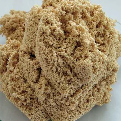 Water Treatment Solution Ostrich Brown ASD-001 Ion Exchange Resin for Ammonia Nitrogen Removal