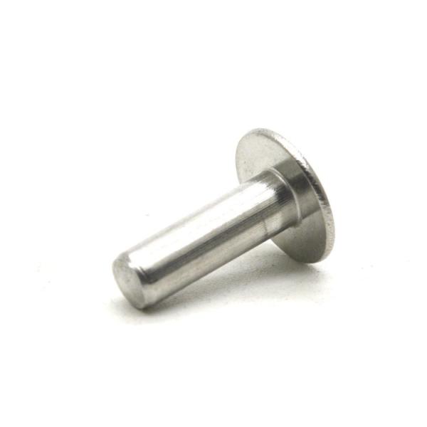 Custom Non Standard Fasteners Stainless Bolts Screws Rivets Nails