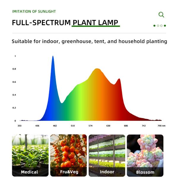 La luz de la tabla cuántica de invernadero para crecer para la tienda de cultivo