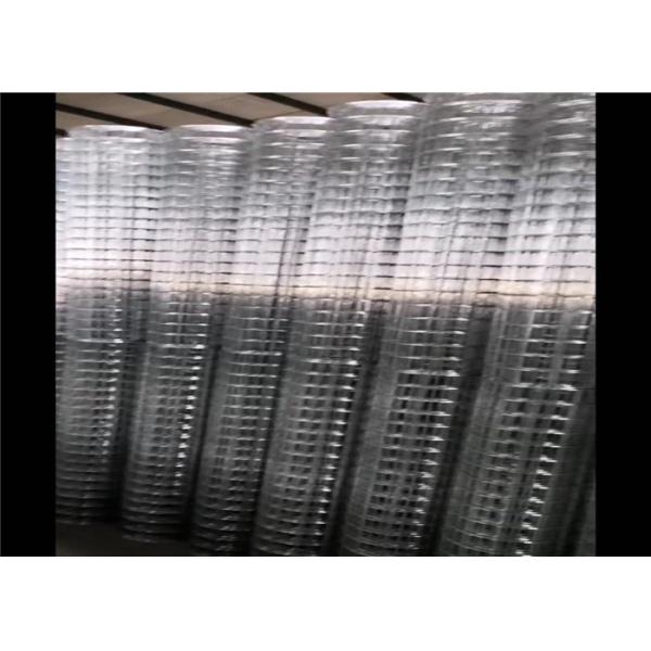 PVC-Coated Galvanized Welded Wire Mesh for Plant Protection