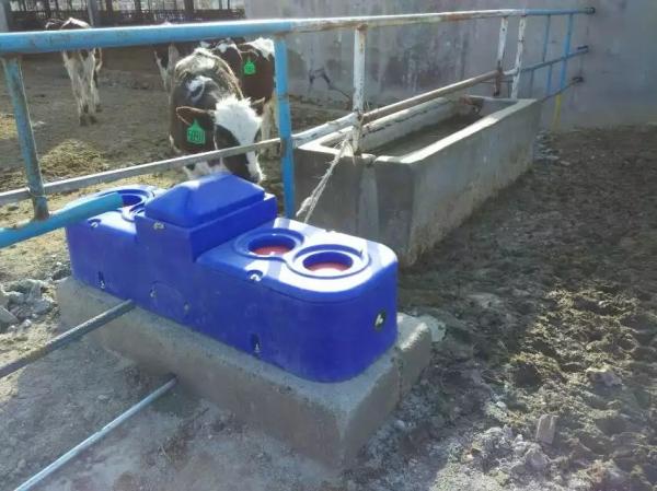 Calha bebendo Thermo plástica 1.5m de quatro furos para carneiros