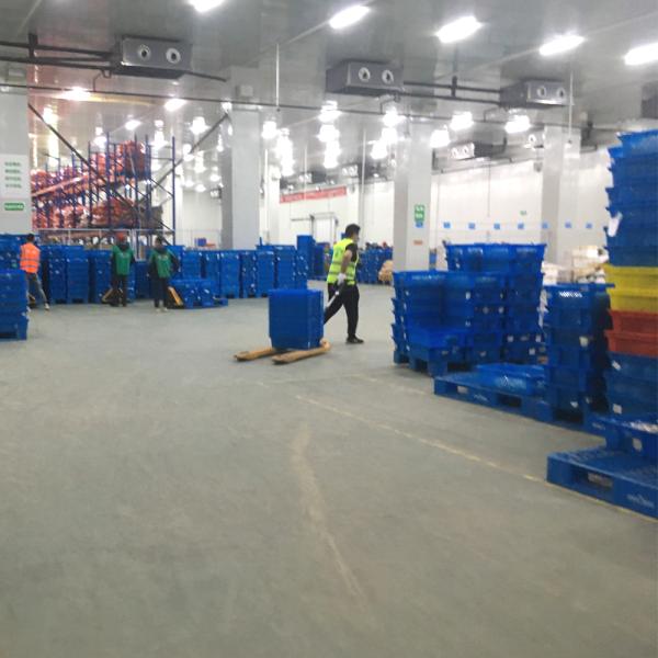 505*370*210 мм пластиковая коробка для хранения овощей и фруктов