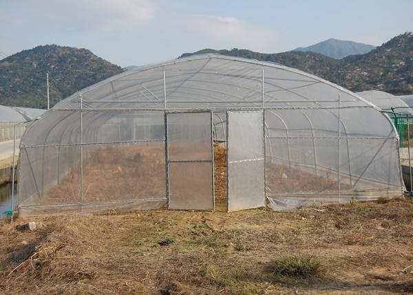 150Micron Single Span Greenhouse Customizable Plastic Film Greenhouse