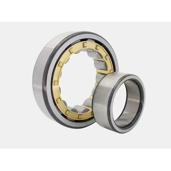 OEM Seals Type Cylindrical Roller Bearing N204 N204m for Car Gearbox 20X47x14 Structure