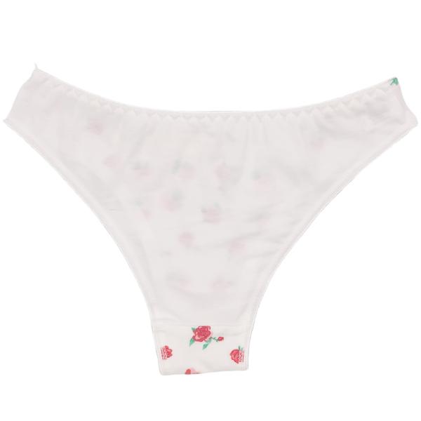 New Arrival Ladies Hipster High Quality Wholesale Small Size for Slim Women New Design 12PCS/PACK Wholesale Underpants Women