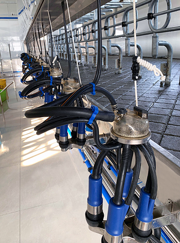 quick release type ISO9001 Abreast Milking Parlour with Electronic Metering