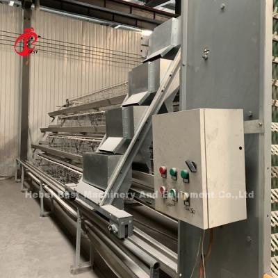 Preço da fábrica do equipamento totalmente automático profissional da gaiola da galinha para a íris da casa de galinha