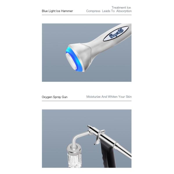 Глубокая очищая машина 10 красоты гидры в 1 заботе кожи Microdermabrasion