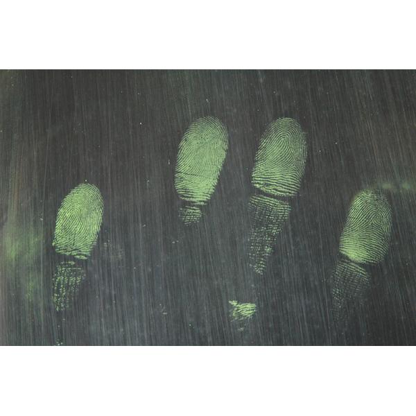 C115 Yellow fluorescent magnetic fingerprint powder