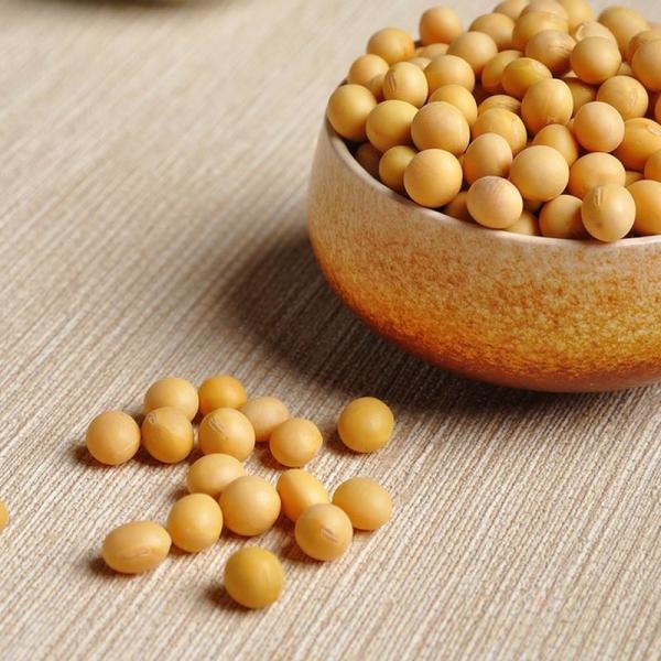 Anti Ultraviolet Natural Color Soybean Protein Staple Fiber 51MM Length