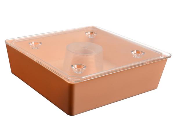 Quadrado europeu plástico Honey Bee Feeder For Beekeeping