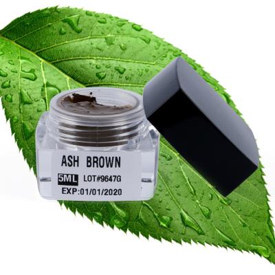 Pigmento permanente manual do micro da composição do creme das sobrancelhas de Lushcolor Microblading