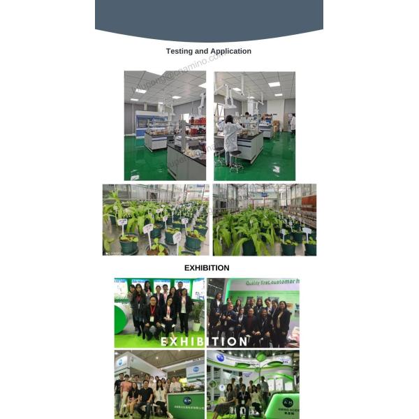 Agricutural Nitrogen Liquid Fertilizer Enzymatic Amino Acids 50% (8-0-0) PH 4-6