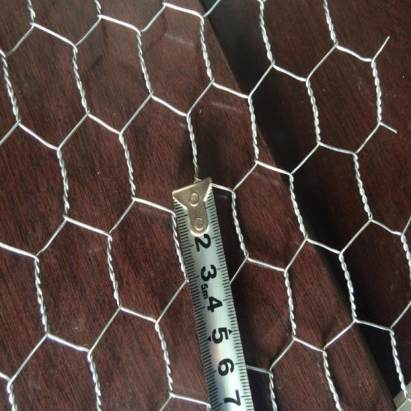 High Quality Chicken Coop Wire Mesh/Rabbit Mesh