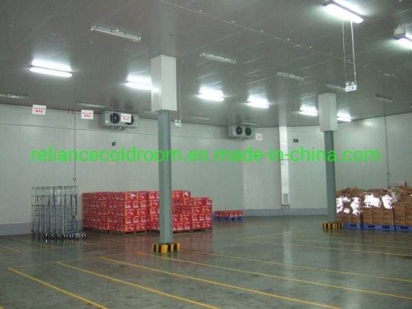 Equipamento de fechadura de portas e painel de armazenamento de frigoríficos de 5 toneladas