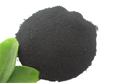 Organic NPK Bio Compound Fertilizer Containing Beneficial Microorganisms