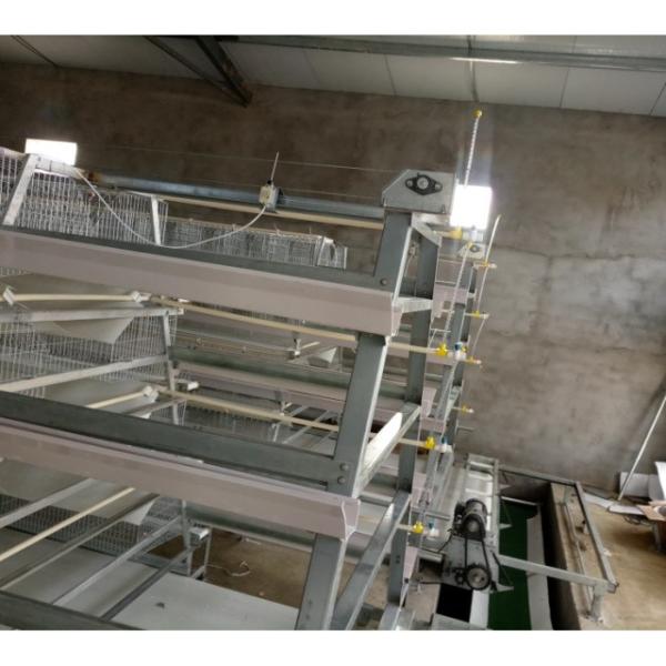 A Type H Type Automatic chicken egg  cage laying hens cage poultry farm equipment