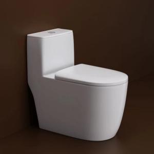 One Piece Dual Flush Toilet with Siphonic Flush Thin Rim One Piece Toilet for