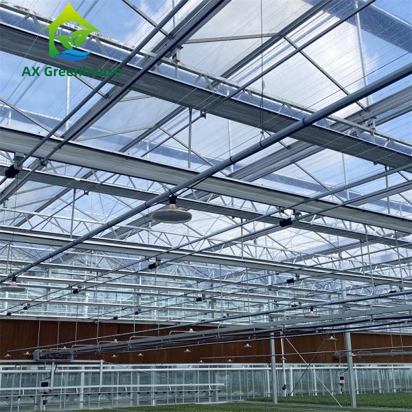 Invernaderos de cristal hortícolas blancos claros de encargo para los climas fríos